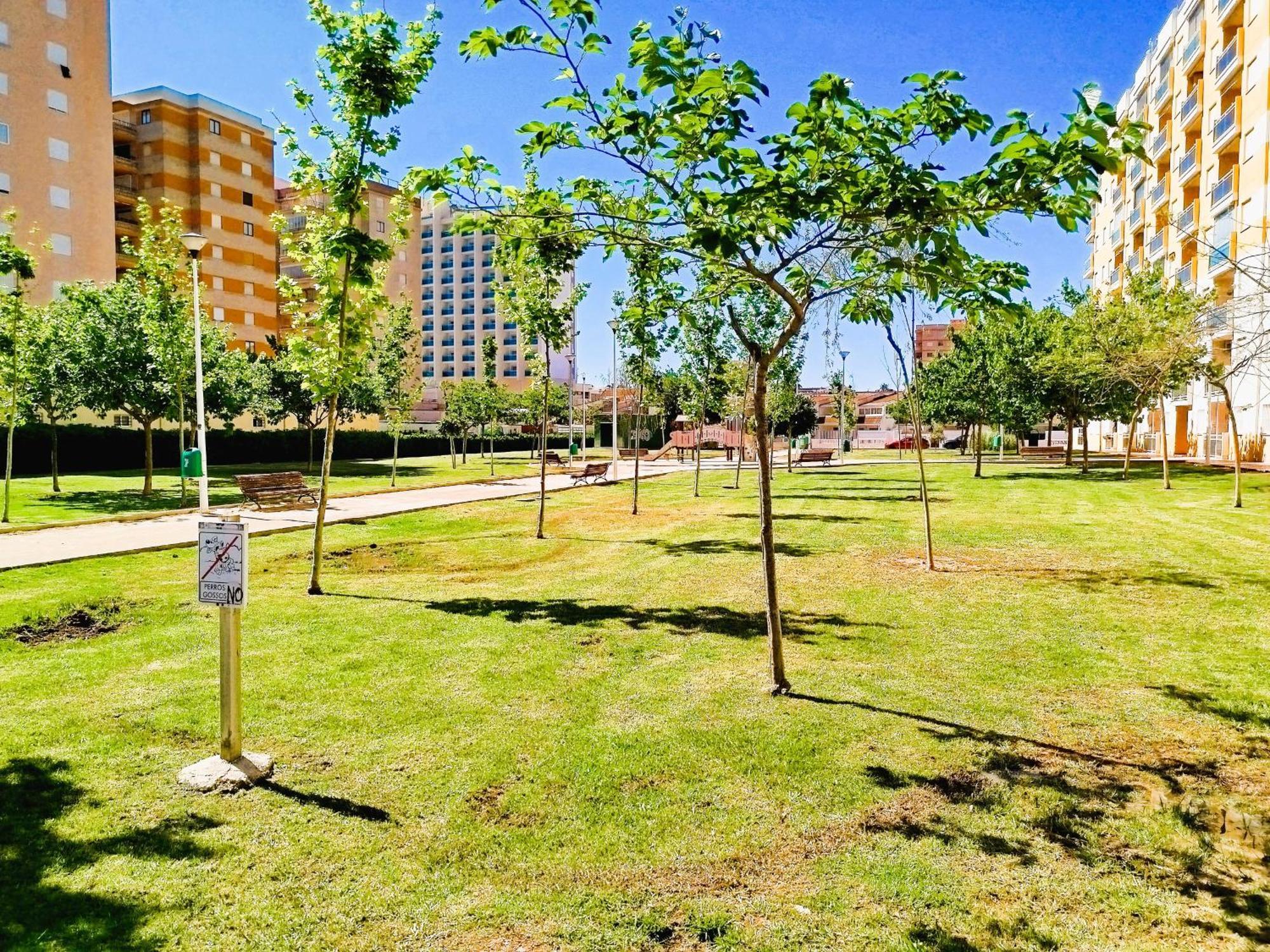 Apartamento Milion Destiny Daytona Primera Linea Playa Oropesa del Mar Exterior foto